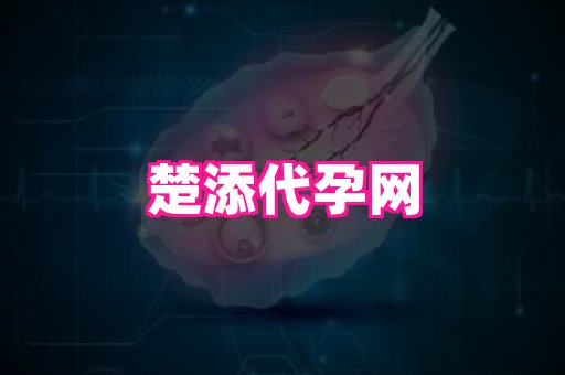 天津助孕网站 1