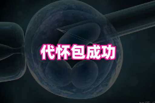 天津助孕网站 2